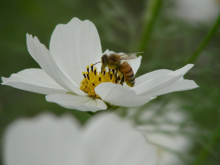 201205132215.jpg